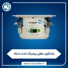 بلندگو سقفی پیجینگ تحت شبکه